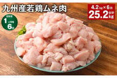 【1ヶ月毎6回定期便】 九州産若鶏ムネ肉 計約25.2kg（約4.2kg×6回） 鶏肉 ムネ肉 むね肉【お申込み翌月から出荷】