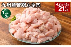 【1ヶ月毎5回定期便】 九州産若鶏ムネ肉 計約21kg（約4.2kg×5回） 鶏肉 ムネ肉 むね肉【お申込み翌月から出荷】