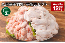 【1ヶ月毎3回定期便】 九州産手羽先・手羽元セット 計約12kg（約4kg×3回） 鶏肉 手羽先 手羽元【お申込み翌月から出荷】