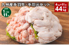 【1ヶ月毎11回定期便】 九州産手羽先・手羽元セット 計約44kg（約4kg×11回） 鶏肉 手羽先 手羽元【お申込み翌月から出荷】