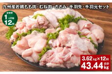 【1ヶ月毎12回定期便】 九州産若鶏もも肉・むね肉・ささみ・手羽先・手羽元セット 計約43.44kg（約3.62kg×12回） 鶏肉 お肉 セット【申込み翌月から出荷】