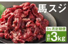 【3ヶ月定期便】 馬スジ 1kg （500g×2パック）×3回《お申し込みの翌月発送》 馬肉 肉 馬すじ スジ 定期 冷凍