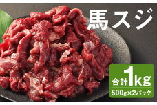 【ふるさと納税】馬スジ 合計1kg 500g×2パック《90日以内に出荷予定(土日祝除く)》 小分け すじ 馬すじ 馬肉 冷凍 
