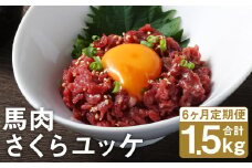 【6ヶ月定期便】 馬肉 さくらユッケ 250g（50g×5パック）×6回 《お申し込みの翌月発送》お肉 肉 ユッケ 赤身 馬刺し 馬刺 馬ユッケ 定期 小分け カット 冷凍 