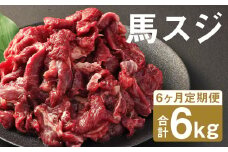 【6ヶ月定期便】 馬スジ 1kg （500g×2パック）×6回 《お申し込みの翌月発送》馬肉 肉 馬すじ スジ 定期 冷凍