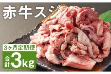 【3ヶ月定期便】 赤牛 スジ 1kg×1パック×3回 《お申し込みの翌月発送》牛肉 肉 あか牛 牛スジ 牛すじ 煮込み カレー 熊本県産 冷凍