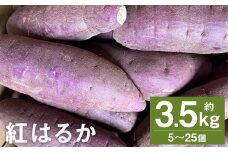 紅はるか 約3.5kg （5～25個） さつまいも サツマイモ 芋 いも 野菜 やさい 国産 【2025年11月下旬～2026年4月上旬発送予定】 st-p