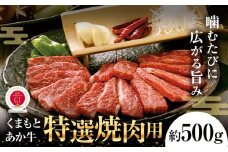 G21Q 厳選されたGI認証 くまもと あか牛 特選 焼肉用 約500g 牛肉 肉 お肉 焼き肉 焼肉 国産牛《90日以内に出荷予定(土日祝除く)》