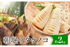朝掘りタケノコ 2kg 合同会社 原田山業《4月上旬-4月末頃出荷》 熊本県 菊池市 たけのこ タケノコ 朝掘り 一番掘り 春の味覚 旬 国産