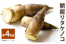 朝掘り タケノコ 4kg 【2025年4月より発送開始】筍 野菜 やさい たけのこ 竹の子