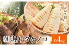 朝掘りタケノコ 4kg 合同会社 原田山業《4月上旬-4月末頃出荷》 熊本県 菊池市 たけのこ タケノコ 朝掘り 一番掘り 春の味覚 旬 国産