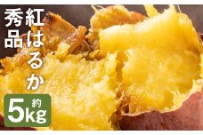 紅はるか 秀品 約5kg 芋 さつまいも サツマイモ べにはるか 野菜《90日以内に出荷予定(土日祝除く)》