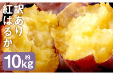 訳あり 紅はるか 約10kg 芋 さつまいも サツマイモ べにはるか 野菜 《90日以内に出荷予定(土日祝除く)》