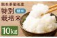 熊本県 菊池産 精米 10kg