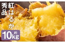 紅はるか 秀品 約10kg 芋 さつまいも サツマイモ べにはるか 野菜《90日以内に出荷予定(土日祝除く)》