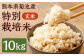 熊本県 菊池産 玄米 10kg