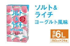 ソルト＆ライチ ヨーグルト風味 250ml×24本 合計6L 飲料 ライチ 果汁 乳飲料 果汁飲料 st-p