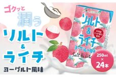 ソルト＆ライチ ヨーグルト風味 250ml×24本 合同会社たべたせいか《4月上旬～-10月上旬に発送予定》熊本県 菊池市 ヨーグルト 果汁入飲料 ライチ らくのうマザーズ ドリンク 飲み物 飲料 セット 紙パック 常温保存可能 ロングライフ 熊本県産