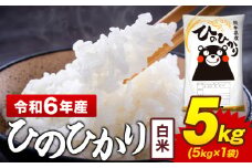 令和6年産 白米 米 ひのひかり 5kg《7-14日以内に出荷予定(土日祝除く)》熊本県 菊池市 国産 熊本県産 白米 精米 送料無料 ヒノヒカリ こめ お米 