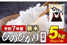 新米 令和7年産 白米 米 ひのひかり 5kg《10月中旬-12月末頃出荷》熊本県 菊池市 国産 熊本県産 白米 精米 送料無料 ヒノヒカリ こめ お米 