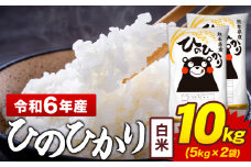 令和6年産 白米 米 ひのひかり 10kg《7-14日以内に出荷予定(土日祝除く)》熊本県 菊池市 国産 熊本県産 白米 精米 送料無料 ヒノヒカリ こめ お米 