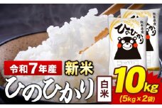 新米 令和7年産 白米 米 ひのひかり 10kg《10月中旬-12月末頃出荷》熊本県 菊池市 国産 熊本県産 白米 精米 送料無料 ヒノヒカリ こめ お米 
