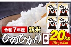 新米 令和7年産 白米 米 ひのひかり 20kg《10月中旬-12月末頃出荷》熊本県 菊池市 国産 熊本県産 白米 精米 送料無料 ヒノヒカリ こめ お米 