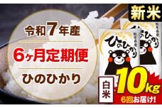 【6ヶ月定期便】新米 令和7年産 白米 10kg 米 ひのひかり《お申込み月の翌月から出荷開始》熊本県 菊池市 国産 熊本県産 白米 精米 無洗米 送料無料 ヒノヒカリ こめ お米 