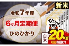 【6ヶ月定期便】新米 令和7年産 白米 20kg 米 ひのひかり《お申込み月の翌月から出荷開始》熊本県 菊池市 国産 熊本県産 白米 精米 無洗米 送料無料 ヒノヒカリ こめ お米 
