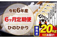 【6ヶ月定期便】令和6年産 無洗米 20kg 米 ひのひかり《お申込み月の翌月から出荷開始》熊本県 菊池市 国産 熊本県産 白米 精米 無洗米 送料無料 ヒノヒカリ こめ お米 