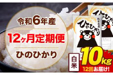 【12ヶ月定期便】令和6年産 白米 10kg 米 ひのひかり《お申込み月の翌月から出荷開始》熊本県 菊池市 国産 熊本県産 白米 精米 無洗米 送料無料 ヒノヒカリ こめ お米 