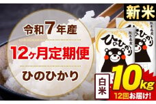 【12ヶ月定期便】新米 令和7年産 白米 10kg 米 ひのひかり《お申込み月の翌月から出荷開始》熊本県 菊池市 国産 熊本県産 白米 精米 無洗米 送料無料 ヒノヒカリ こめ お米 