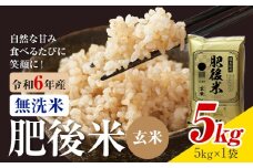 熊本県産 肥後米 無洗米 玄米 5kg 1袋5kg 米 お米 令和6年産 九州産 熊本県産 送料無料【30日以内に出荷予定（土日祝除く）】玄米 無洗米 米
