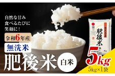熊本県産 肥後米 無洗米 白米 5kg 1袋5kg 米 お米 令和6年産 九州産 熊本県産 送料無料【30日以内に出荷予定（土日祝除く）】 無洗米 白米 米