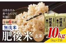 熊本県産 肥後米 無洗米 玄米 10kg 1袋5kg 米 お米 令和6年産 九州産 熊本県産 送料無料【30日以内に出荷予定（土日祝除く）】玄米 無洗米 米