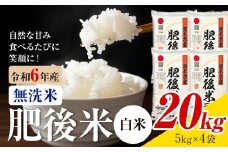 熊本県産 肥後米 無洗米 白米 20kg 1袋5kg 米 お米 令和6年産 九州産 熊本県産 送料無料【30日以内に出荷予定（土日祝除く）】 無洗米 白米 米