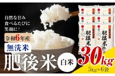 熊本県産 肥後米 無洗米 白米 30kg 1袋5kg 米 お米 令和6年産 九州産 熊本県産 送料無料【30日以内に出荷予定（土日祝除く）】 無洗米 白米 米