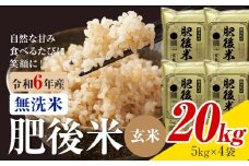 熊本県産 肥後米 無洗米 玄米 20kg 1袋5kg 米 お米 令和6年産 九州産 熊本県産 送料無料【30日以内に出荷予定（土日祝除く）】玄米 無洗米 米