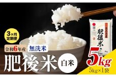 【3ヶ月定期便】熊本県産 肥後米 無洗米 白米 5kg 1袋5kg 米 お米 令和6年産 九州産 熊本県産 送料無料《お申込み翌月に出荷予定》 無洗米 白米 米
