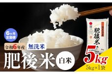 【6ヶ月定期便】熊本県産 肥後米 無洗米 白米 5kg 1袋5kg 米 お米 令和6年産 九州産 熊本県産 送料無料《お申込み翌月に出荷予定》 無洗米 白米 米