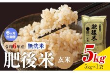 【6ヶ月定期便】熊本県産 肥後米 無洗米 玄米 5kg 1袋5kg 米 お米 令和6年産 九州産 熊本県産 送料無料《お申込み翌月に出荷予定》玄米 無洗米 米