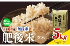 【12ヶ月定期便】熊本県産 肥後米 無洗米 玄米 5kg 1袋5kg 米 お米 令和6年産 九州産 熊本県産  送料無料《お申込み翌月に出荷予定》玄米 無洗米 米