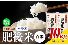 【12ヶ月定期便】熊本県産 肥後米 無洗米 白米 10kg 1袋5kg 米 お米 令和6年産 九州産 熊本県産 送料無料《お申込み翌月に出荷予定》】 無洗米 白米 米