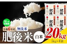【12ヶ月定期便】熊本県産 肥後米 無洗米 白米 20kg 1袋5kg 米 お米 令和6年産 九州産 熊本県産 送料無料《お申込み翌月に出荷予定》 無洗米 白米 米