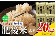 【12ヶ月定期便】熊本県産 肥後米 無洗米 玄米 20kg 1袋5kg 米 お米 令和6年産 九州産 熊本県産 送料無料《お申込み翌月に出荷予定》玄米 無洗米 米