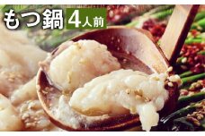 九州鍋グランプリ受賞 ぷりぷり もつ鍋 セット（4人前）《90日以内に出荷予定(土日祝除く)》菊池市産・熊本県産和牛使用