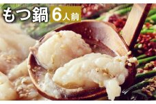 九州鍋グランプリ受賞 ぷりぷり もつ鍋 セット（6人前）《90日以内に出荷予定(土日祝除く)》菊池市産・熊本県産和牛使用