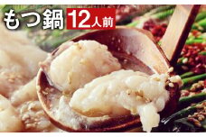 九州鍋グランプリ受賞 ぷりぷり もつ鍋 セット（12人前《90日以内に出荷予定(土日祝除く)》）菊池市産・熊本県産和牛使用