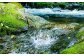 THE KIKUCHI WATER 500ml×30本
