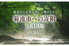 菊池市への寄附(返礼品はありません) 熊本県 菊池市 返礼品なし 1,000円